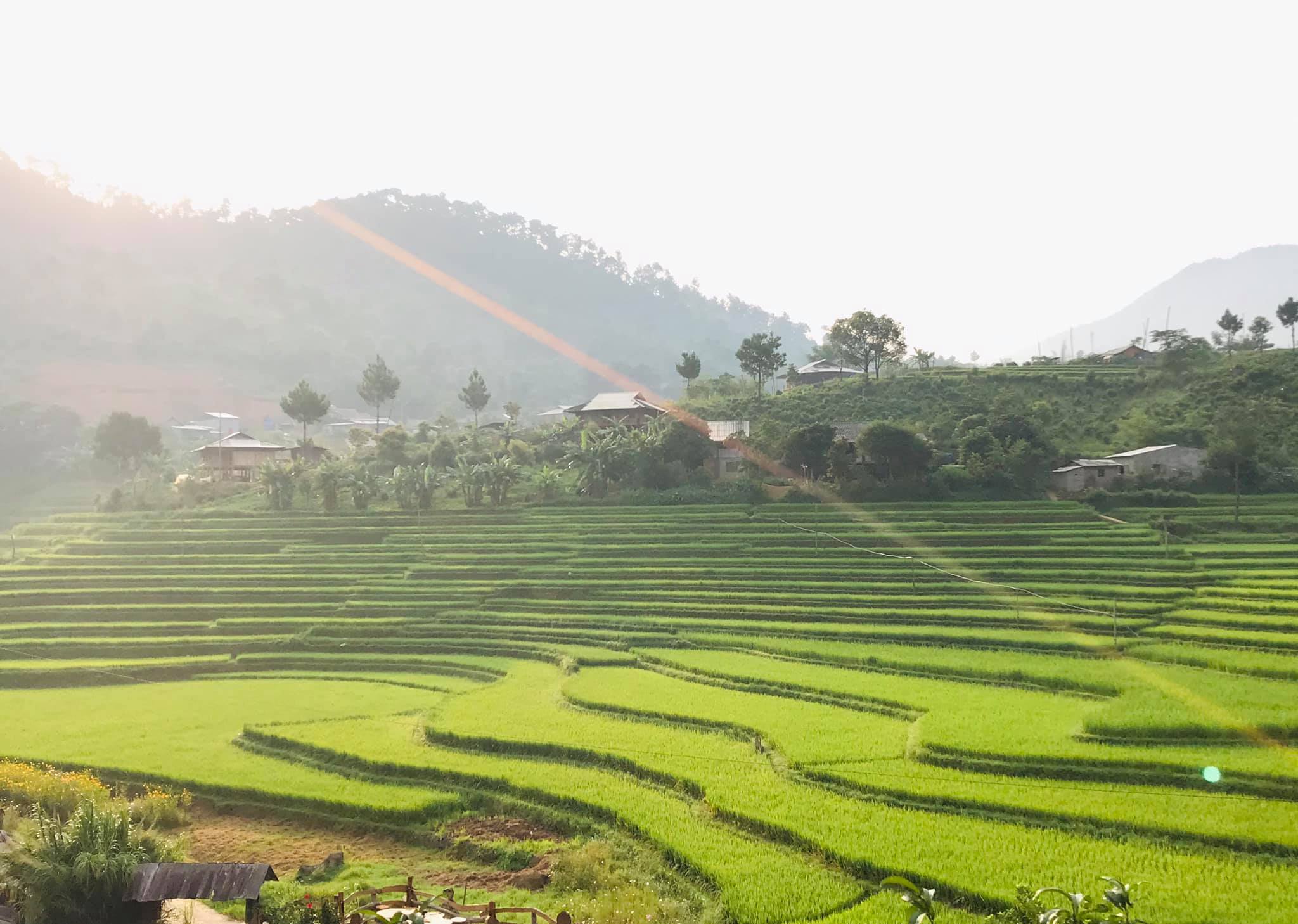 Ruộng bậc thang Trạm Tấu, Lào Cai — bản trên đồi, ruộng chín tháng chín, tia nắng sớm